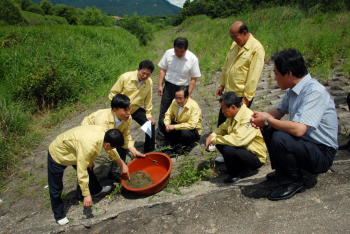청산면 보청천 태형동물 발생 현장 확인