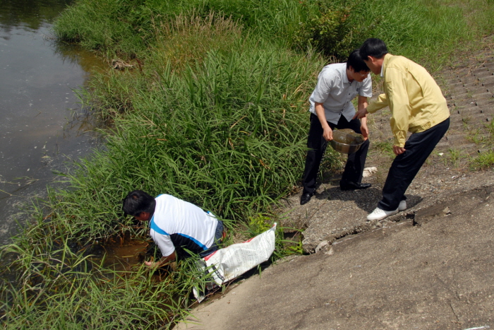 청산면 보청천 태형동물 발생 현장 확인