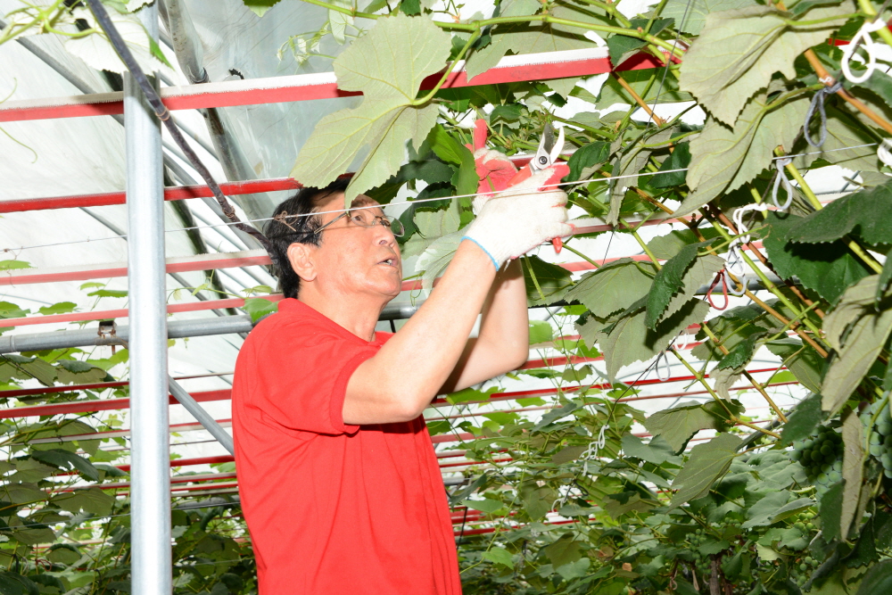 옥천군의회 농촌 봉사활동