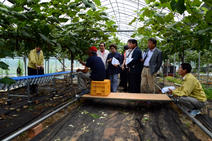 제216회 옥천군의회 임시회