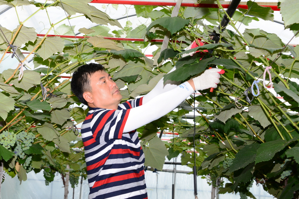 옥천군의회 농촌 봉사활동