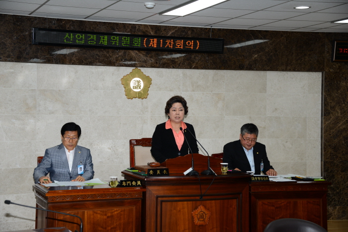 제217회 옥천군의회 임시회