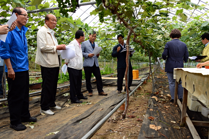 제216회 옥천군의회 임시회