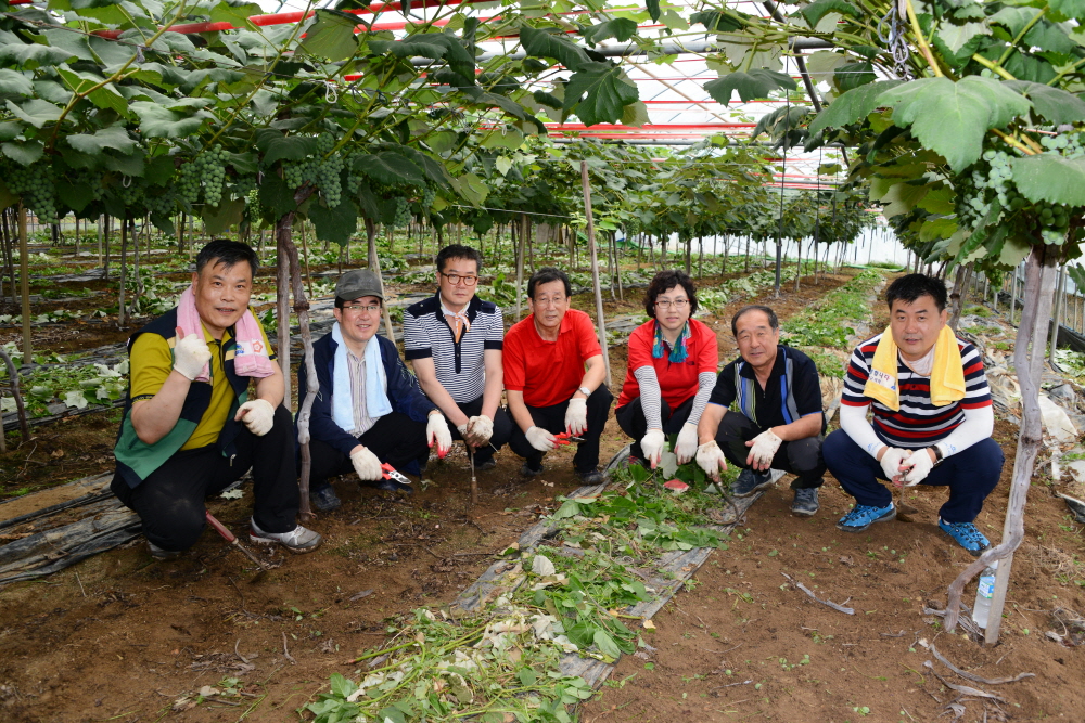옥천군의회 농촌 봉사활동