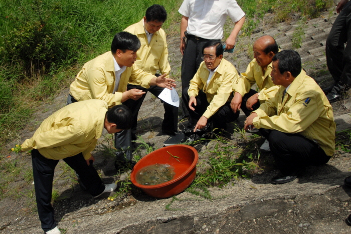 청산면 보청천 태형동물 발생 현장 확인