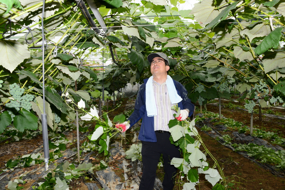 옥천군의회 농촌 봉사활동