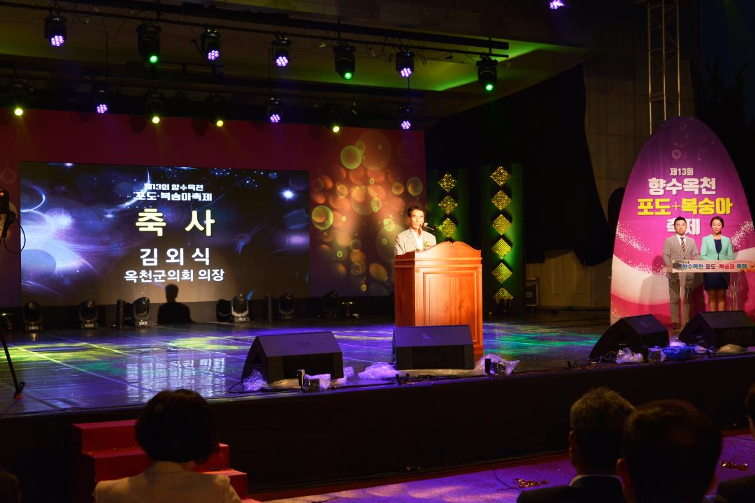 제13회 향수옥천 포도복숭아 축제 개막식