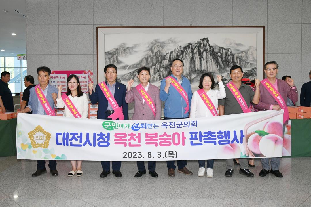 2023년 대전시청 옥천복숭아 판촉행사