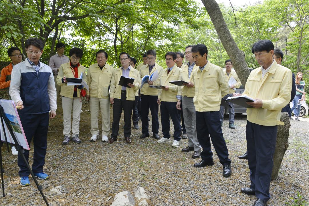 2019년도 사업장점검 현지 확인-수북.장계간 녹색탐방로 조성사업