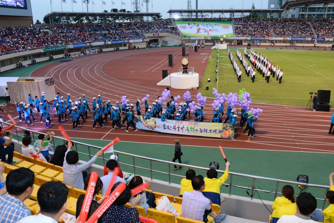 충북도민 체육대회 개막식 참석