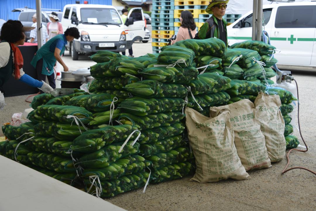 제11회 옥수수 감자 축제 개막식
