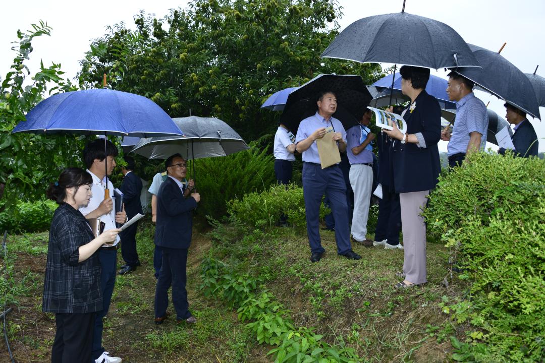 공유재산부지 매입 현지확인-친환경농축산과