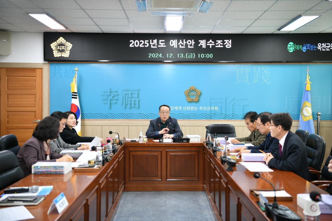 2025년도 예산안 계수조정